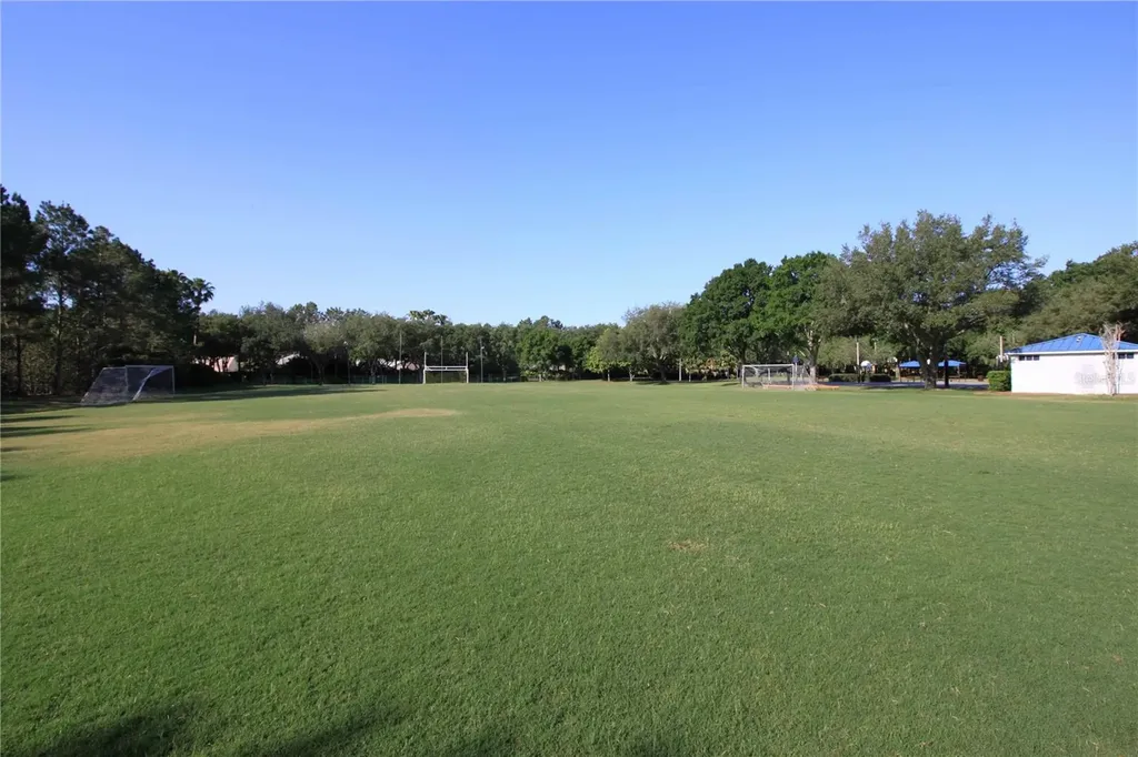 3692 Johnathon Avenue Palm Harbor FL 34685