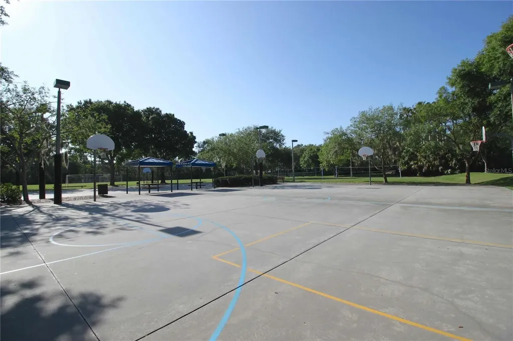 3692 Johnathon Avenue Palm Harbor FL 34685
