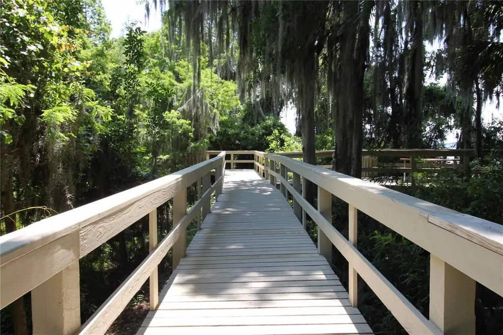 3692 Johnathon Avenue Palm Harbor FL 34685