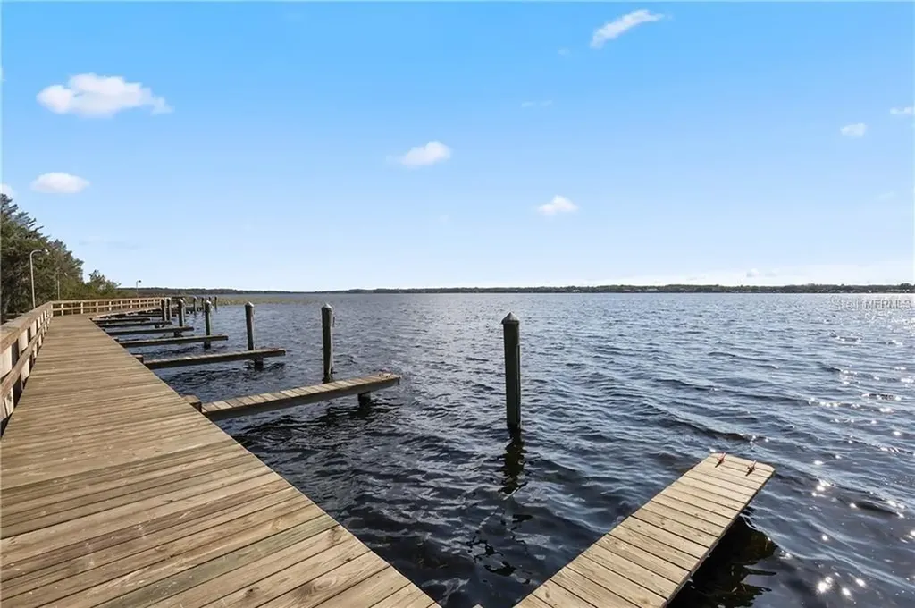 3692 Johnathon Avenue Palm Harbor FL 34685