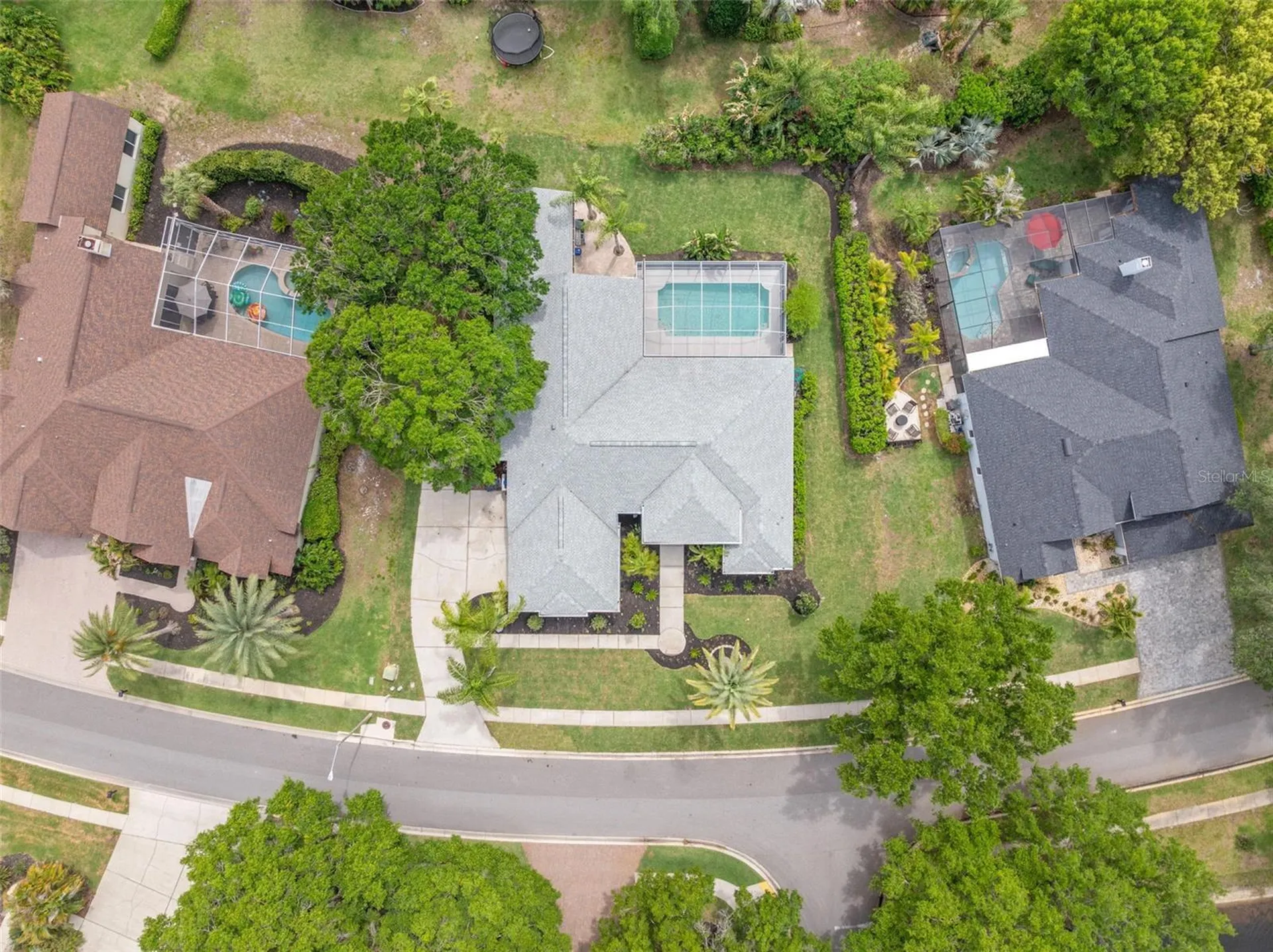 3692 Johnathon Avenue Palm Harbor FL 34685