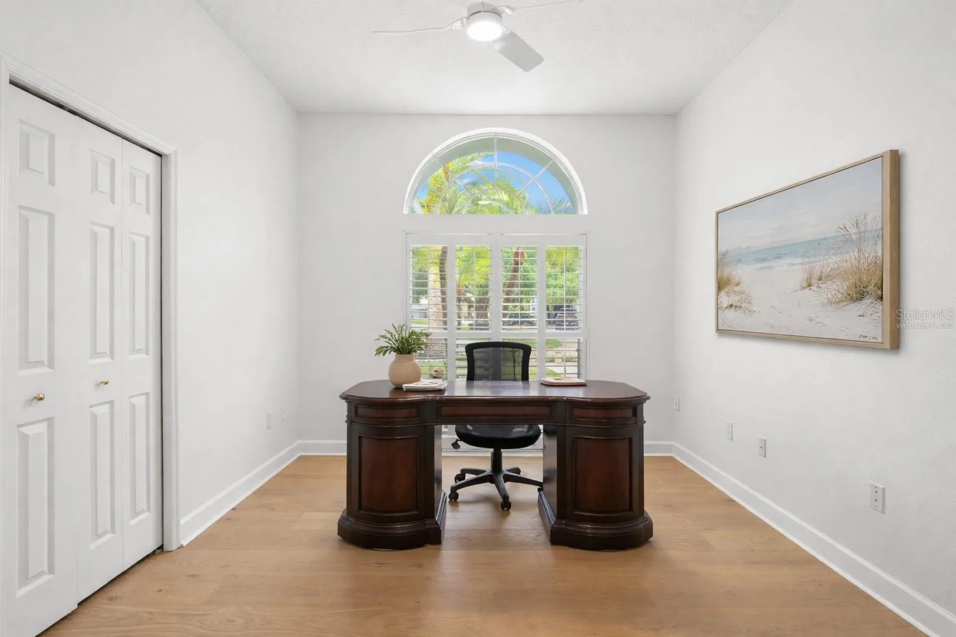 3692 Johnathon Avenue Palm Harbor FL 34685