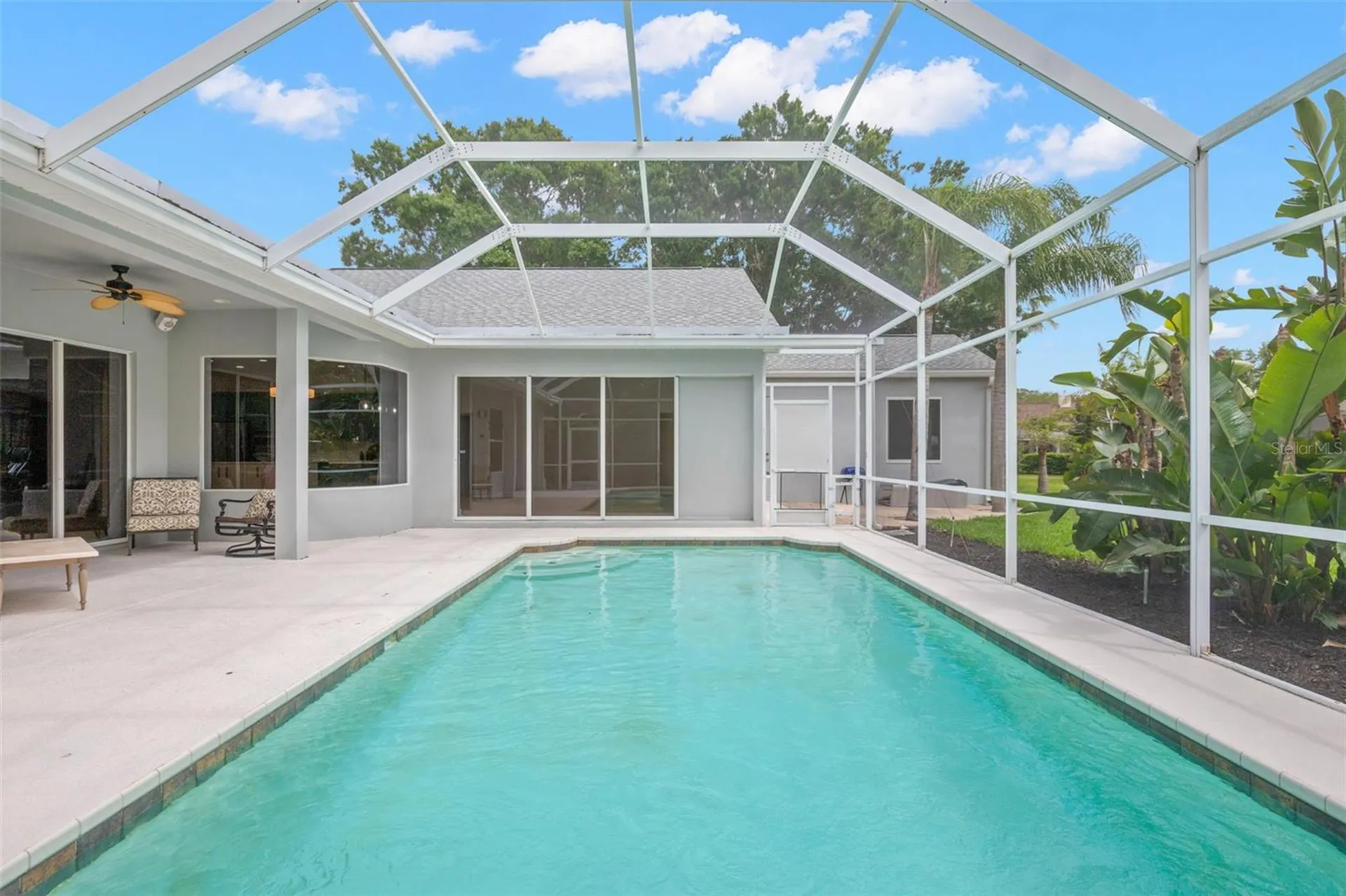 3692 Johnathon Avenue Palm Harbor FL 34685