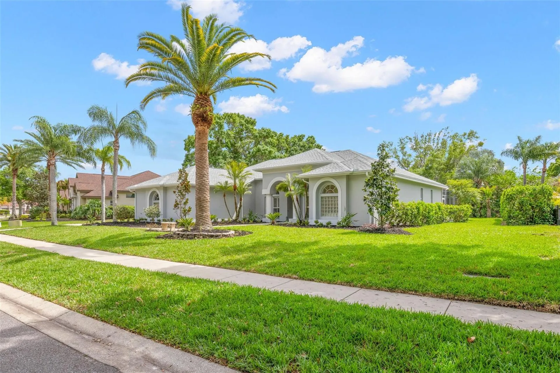 3692 Johnathon Avenue Palm Harbor FL 34685