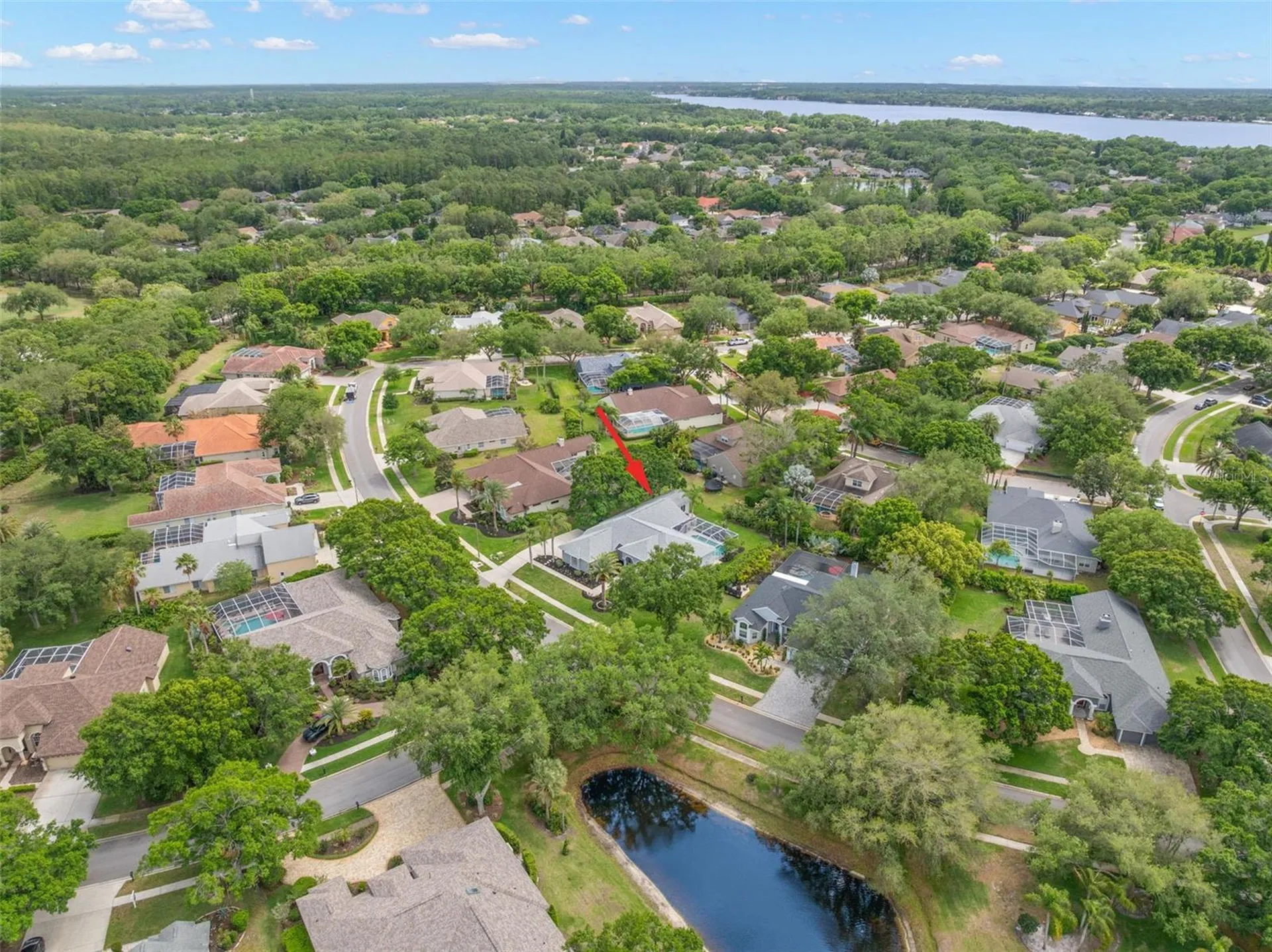 3692 Johnathon Avenue Palm Harbor FL 34685