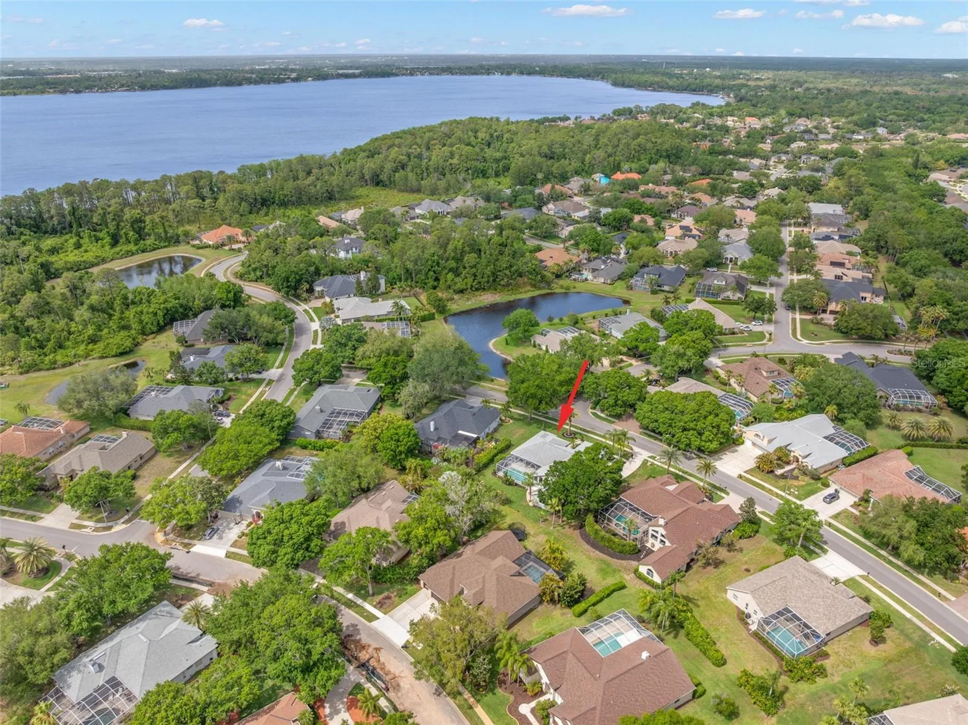 3692 Johnathon Avenue Palm Harbor FL 34685