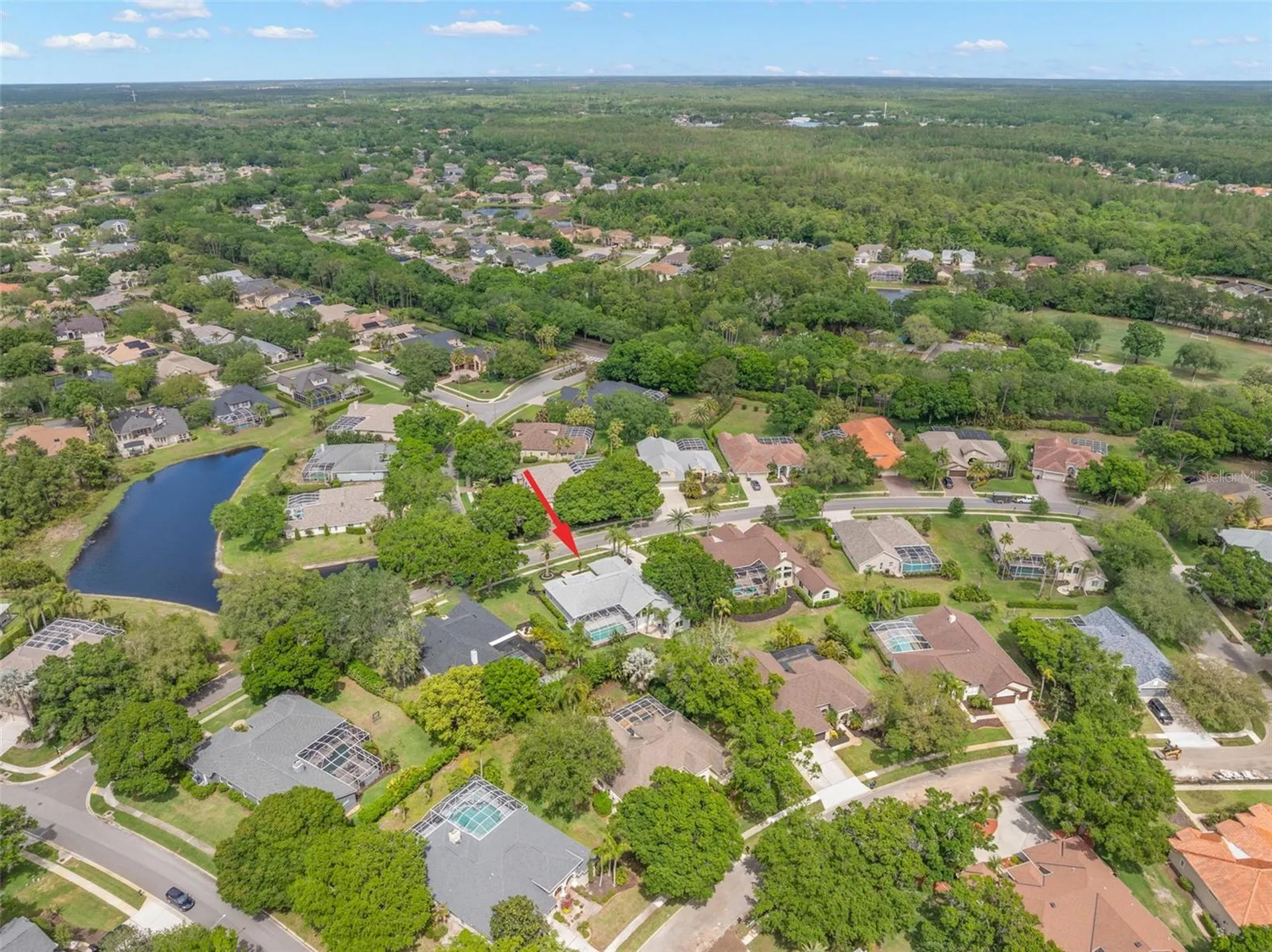 3692 Johnathon Avenue Palm Harbor FL 34685