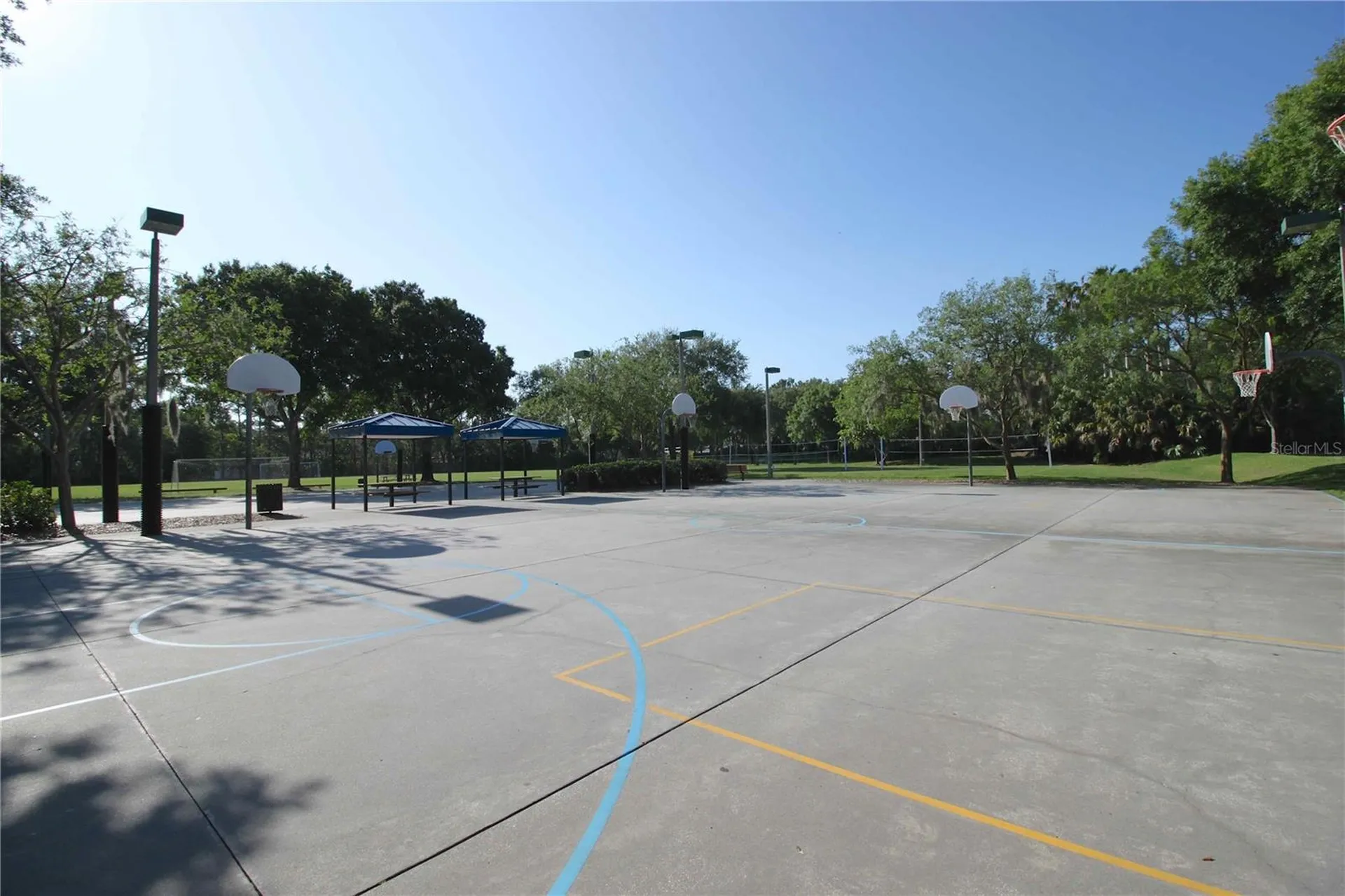 3692 Johnathon Avenue Palm Harbor FL 34685