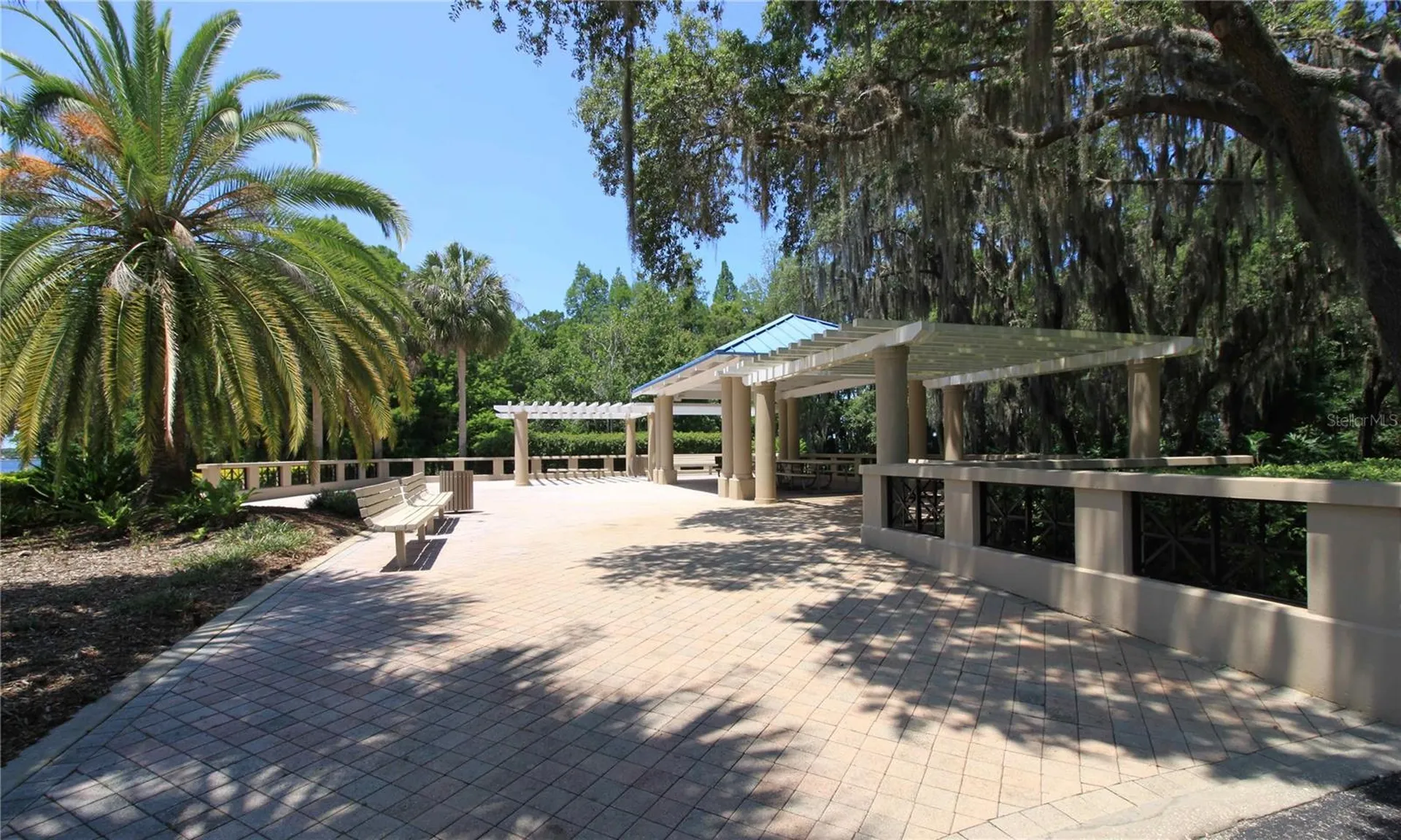 3692 Johnathon Avenue Palm Harbor FL 34685