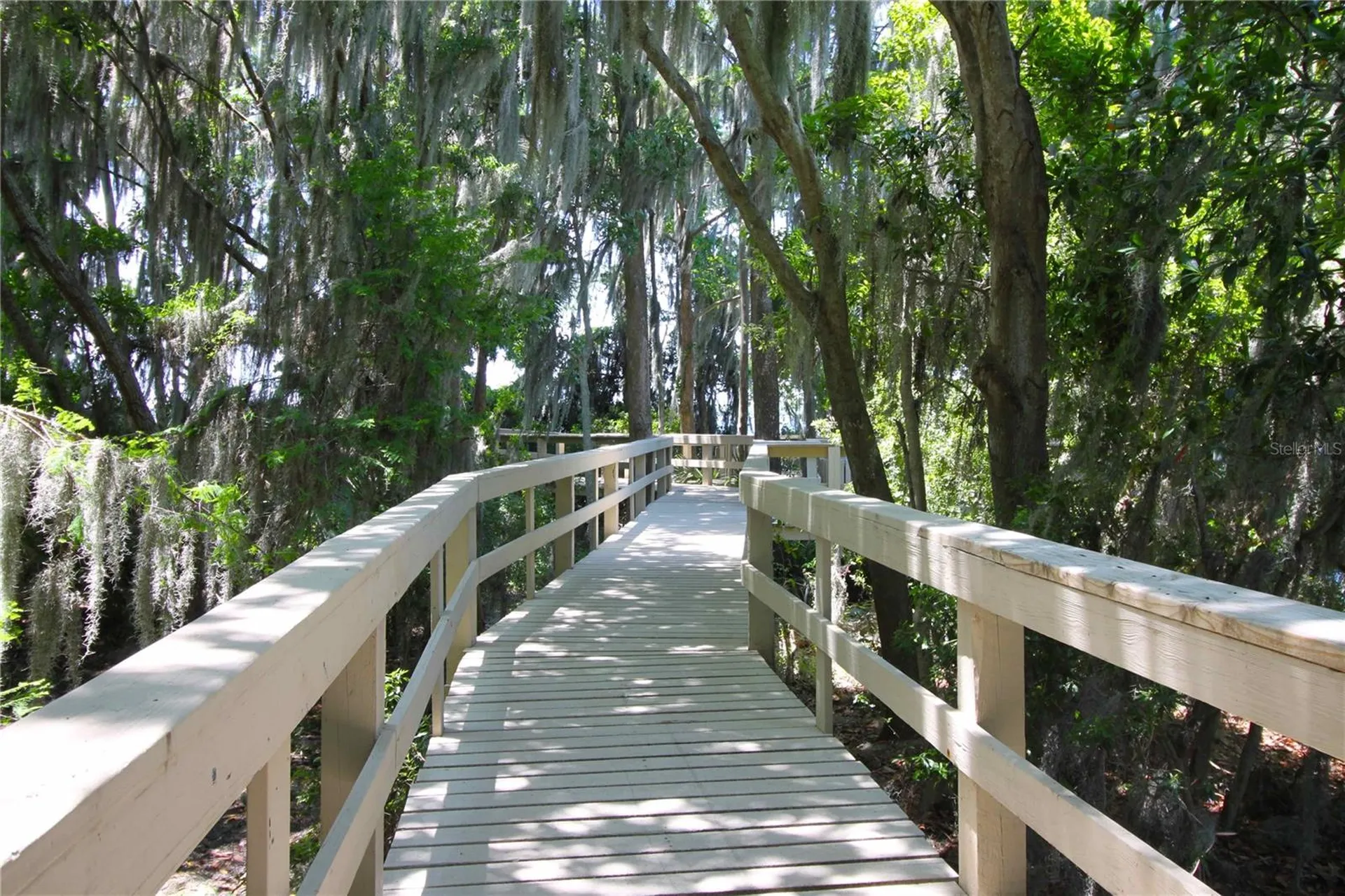3692 Johnathon Avenue Palm Harbor FL 34685