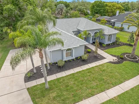 3692 Johnathon Avenue Palm Harbor FL 34685