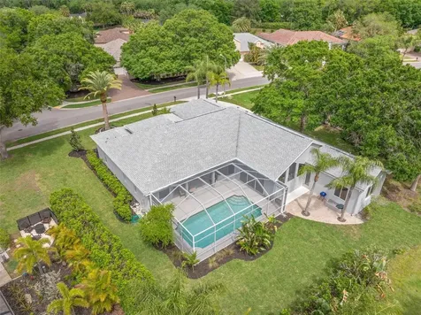 3692 Johnathon Avenue Palm Harbor FL 34685