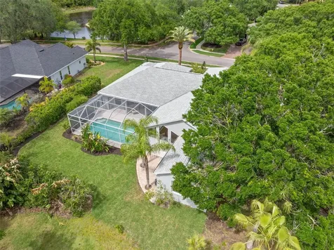 3692 Johnathon Avenue Palm Harbor FL 34685