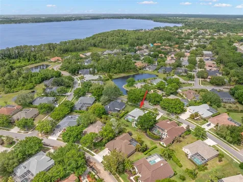 3692 Johnathon Avenue Palm Harbor FL 34685