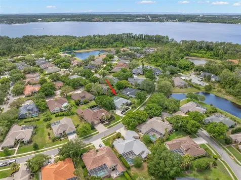 3692 Johnathon Avenue Palm Harbor FL 34685