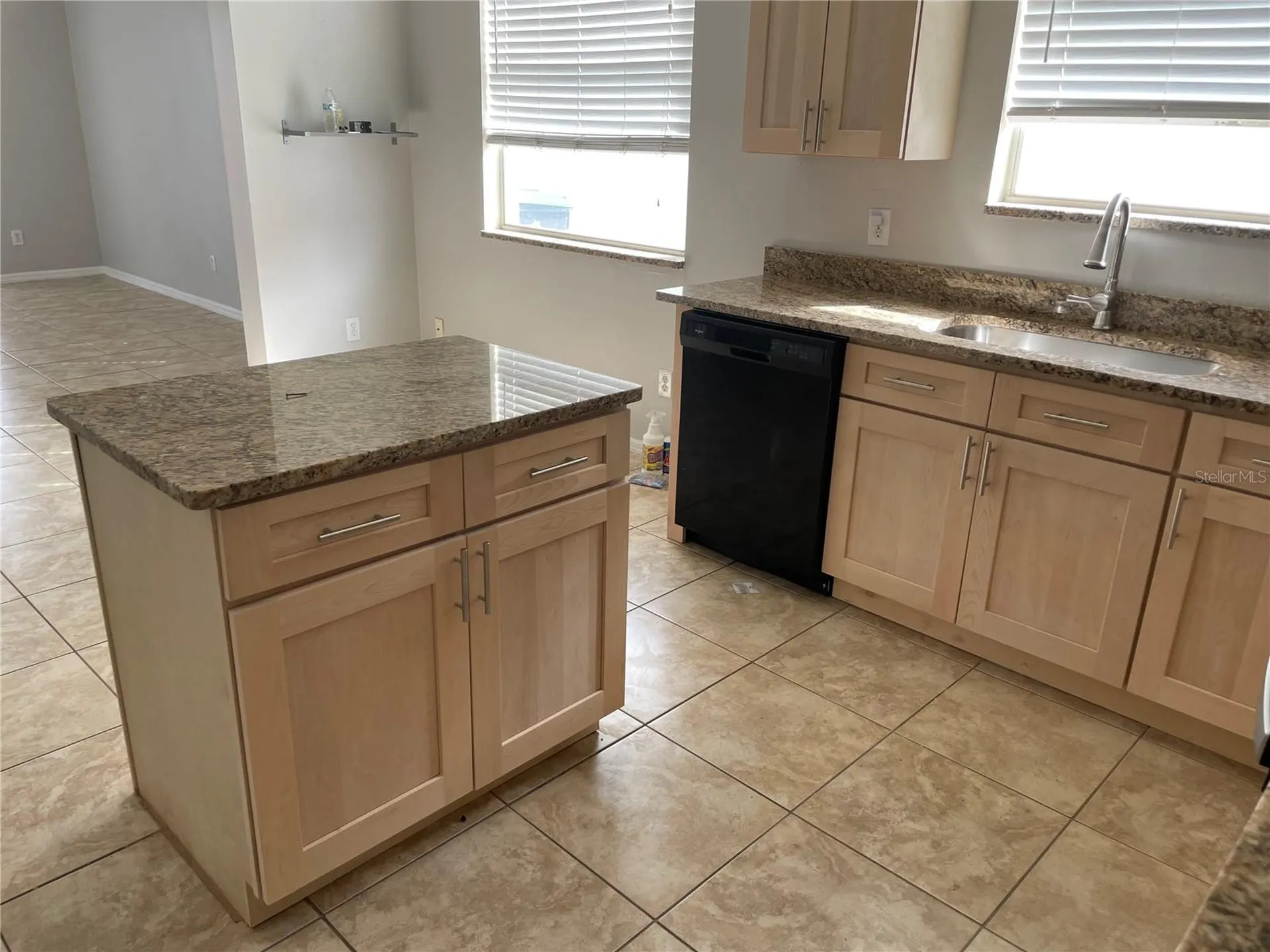 13501 Briarmoor Court Orlando FL 32837