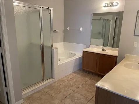 13501 Briarmoor Court Orlando FL 32837