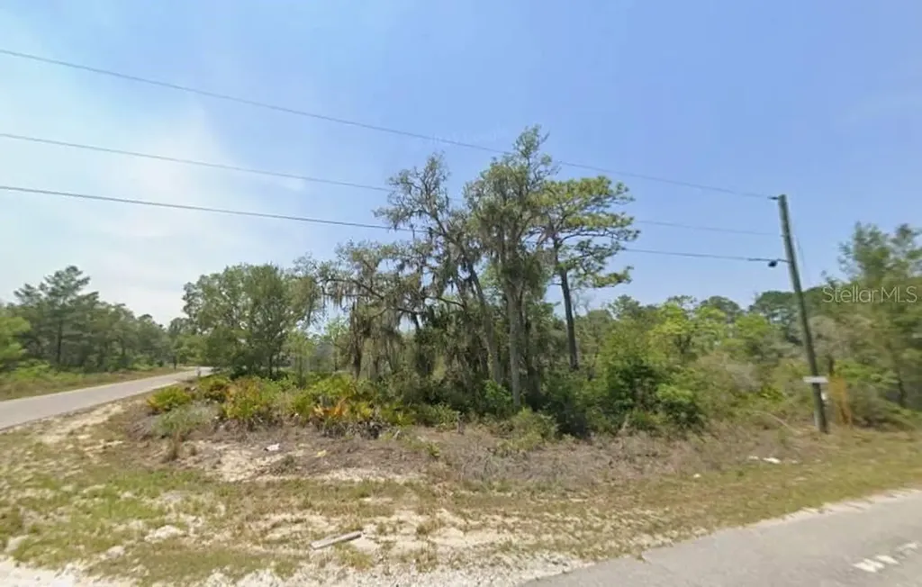 Lot 76 Fisher Loop Ocklawaha FL 32179