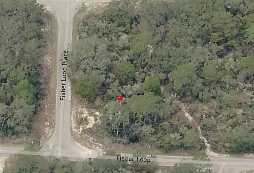 Lot 76 Fisher Loop Ocklawaha FL 32179
