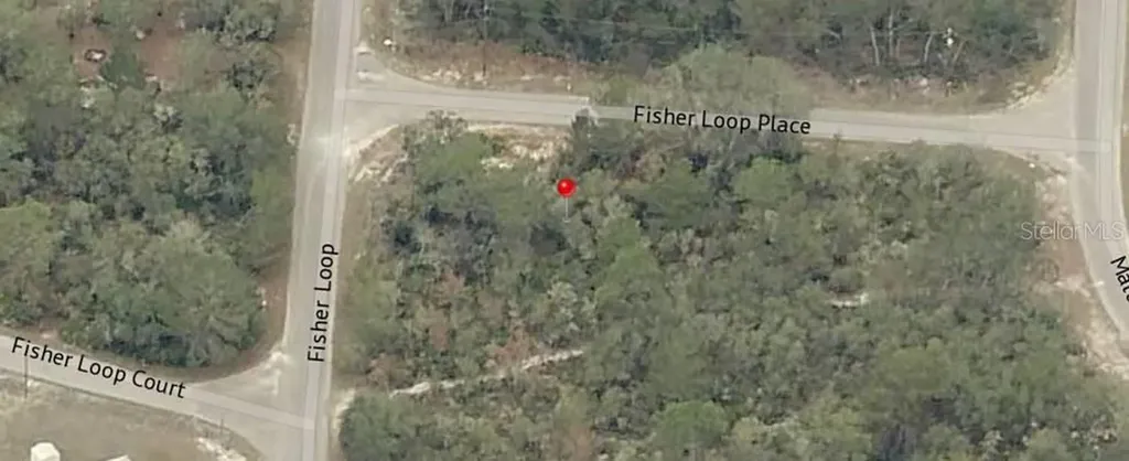 Lot 76 Fisher Loop Ocklawaha FL 32179