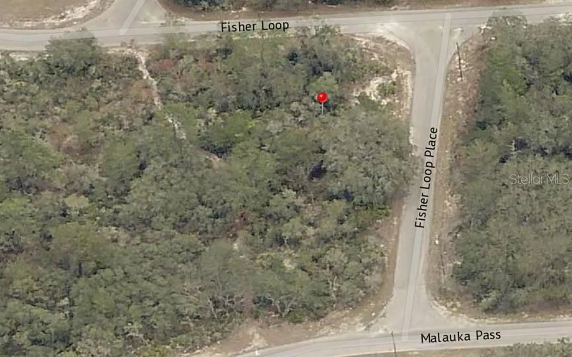 Lot 76 Fisher Loop Ocklawaha FL 32179