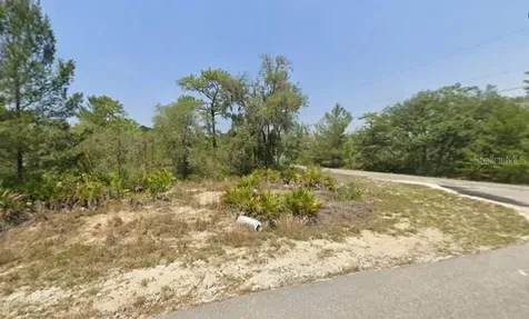 Lot 76 Fisher Loop Ocklawaha FL 32179