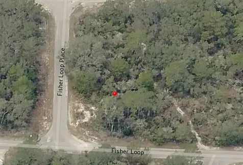 Lot 76 Fisher Loop Ocklawaha FL 32179