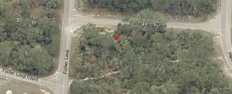 Lot 76 Fisher Loop Ocklawaha FL 32179