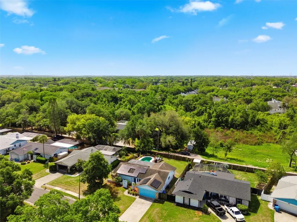 2816 Rustic Oaks Drive Palm Harbor FL 34684