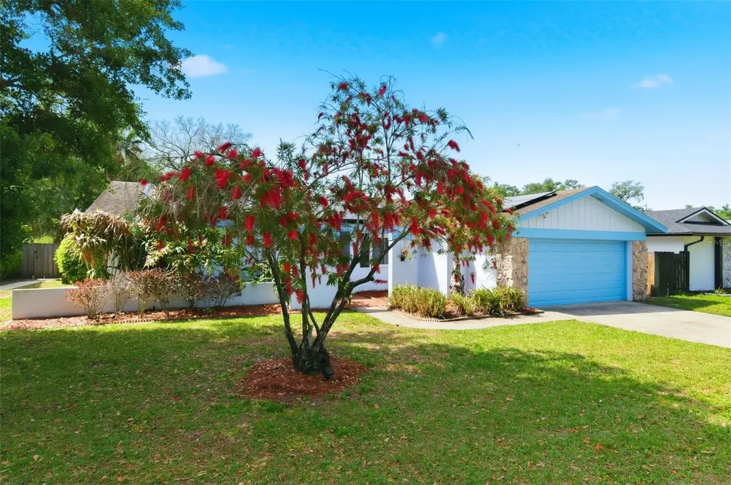 2816 Rustic Oaks Drive Palm Harbor FL 34684