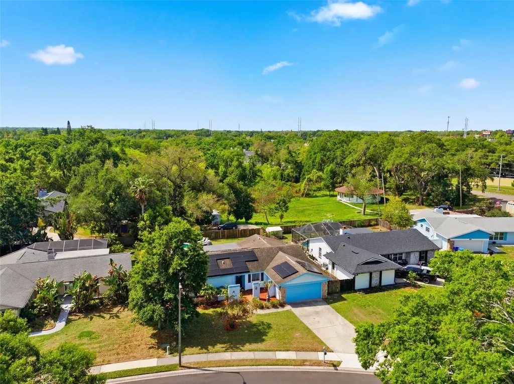2816 Rustic Oaks Drive Palm Harbor FL 34684