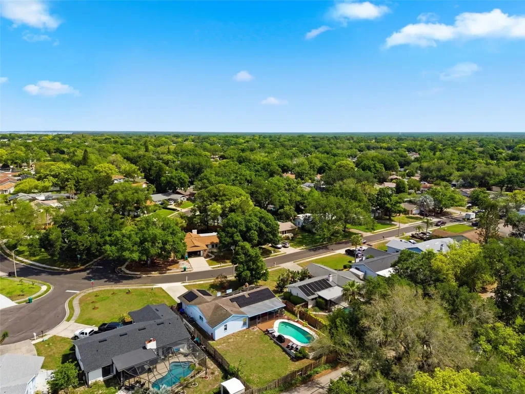 2816 Rustic Oaks Drive Palm Harbor FL 34684