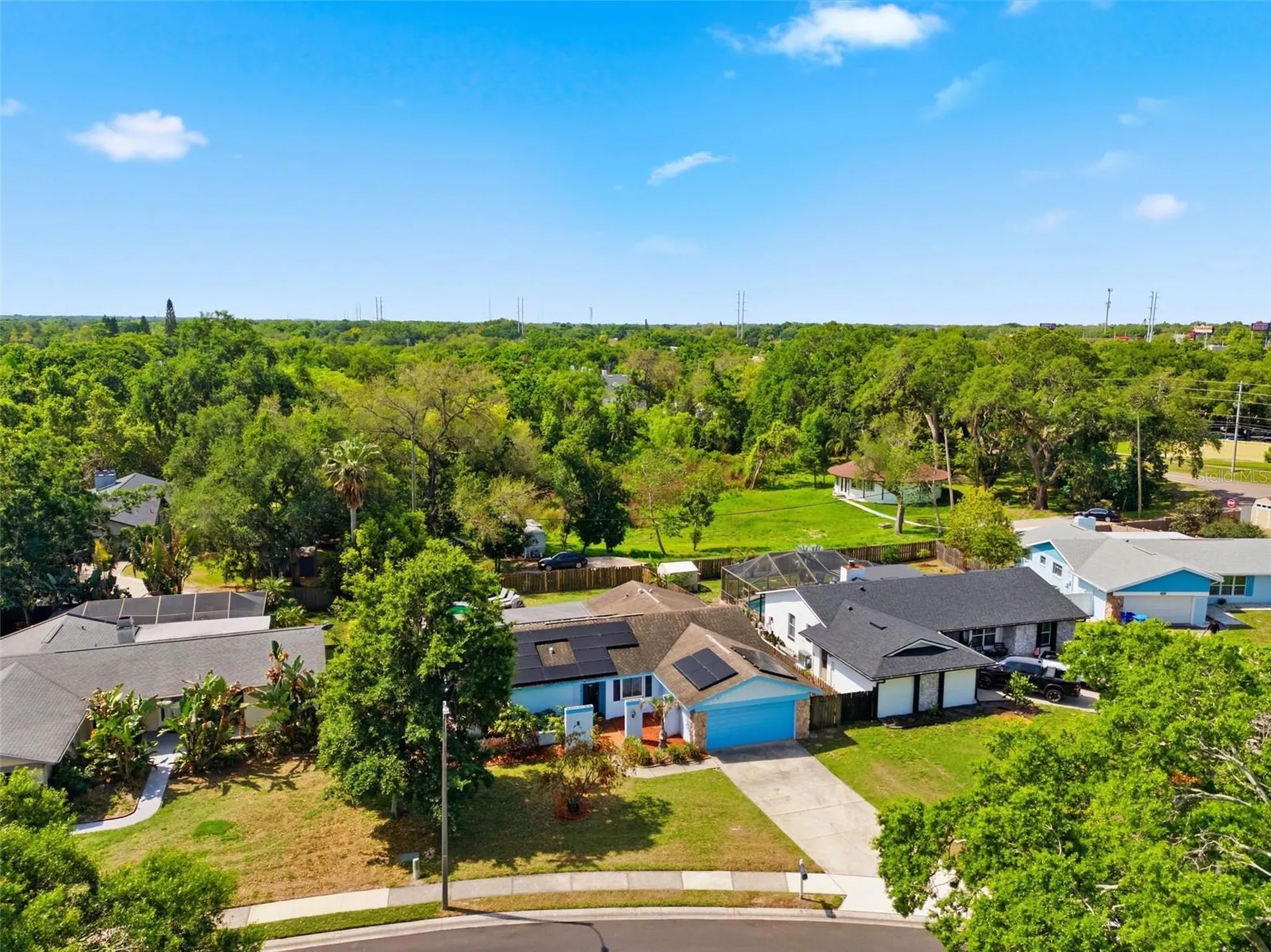 2816 Rustic Oaks Drive Palm Harbor FL 34684