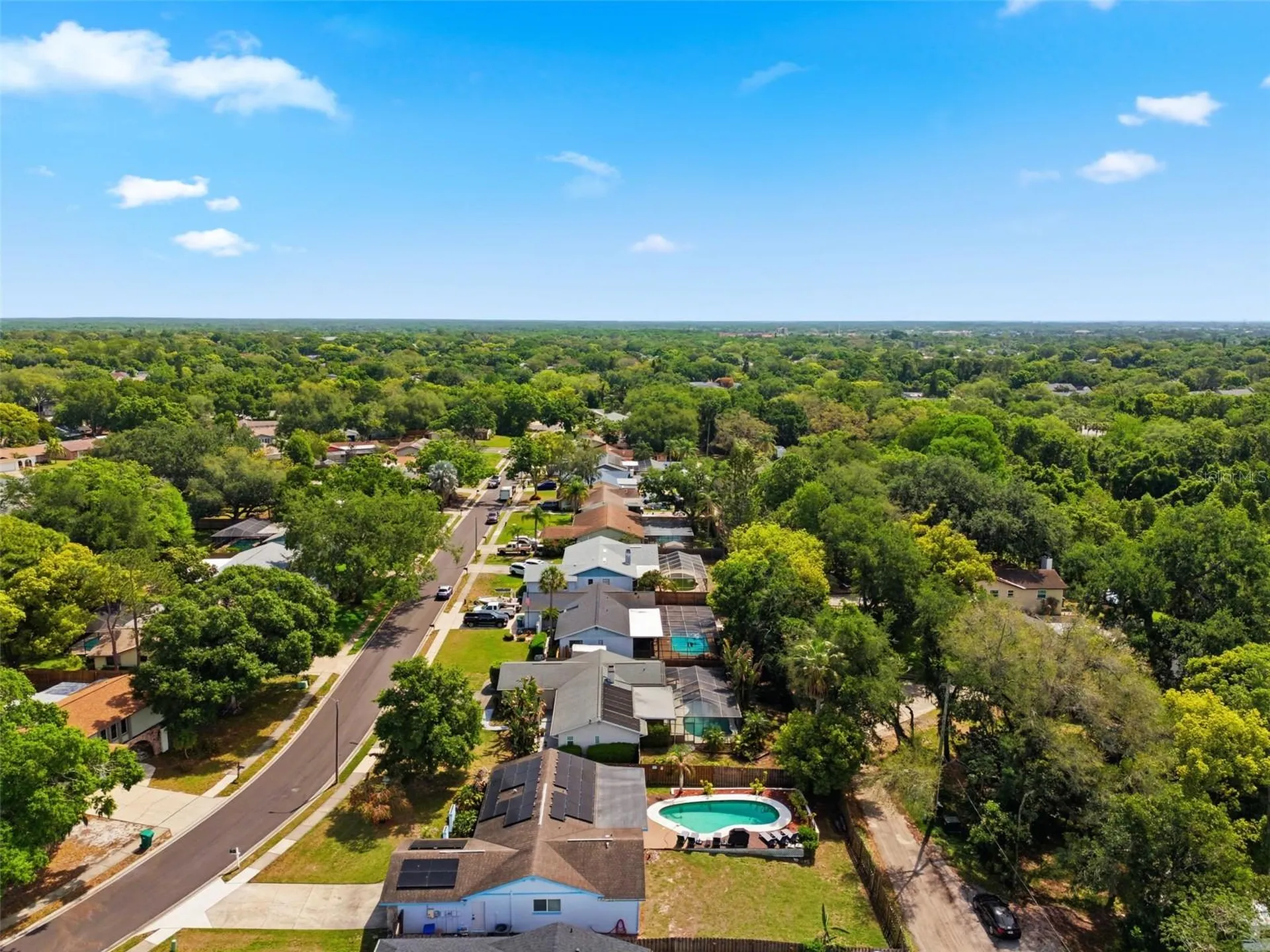 2816 Rustic Oaks Drive Palm Harbor FL 34684