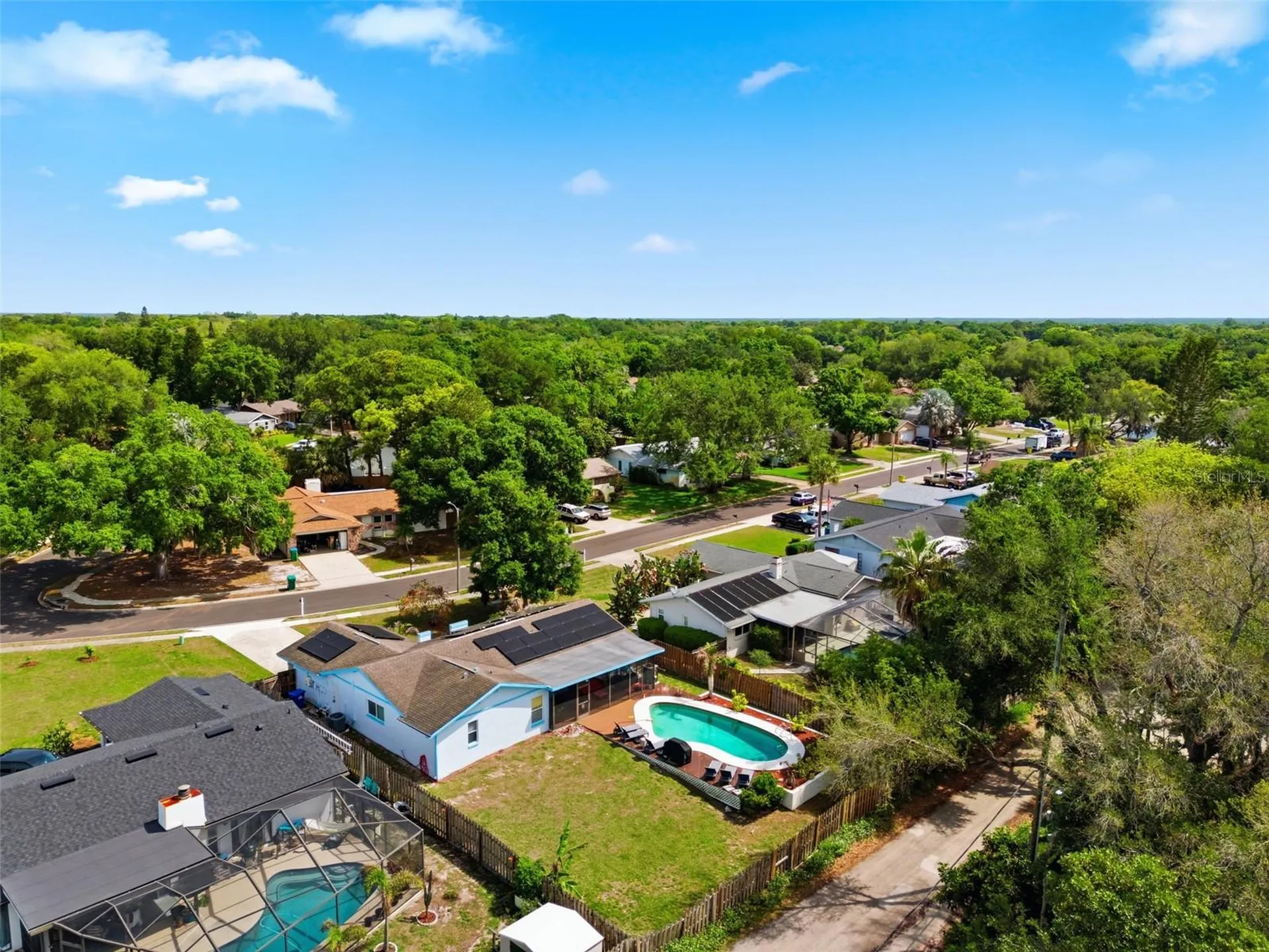 2816 Rustic Oaks Drive Palm Harbor FL 34684