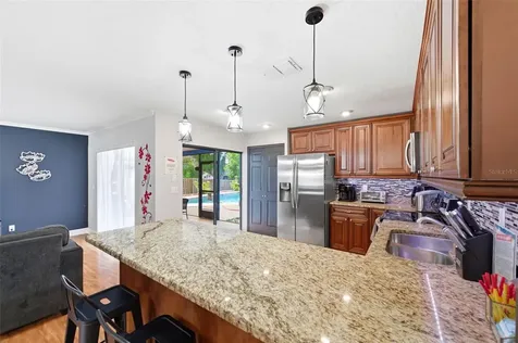 2816 Rustic Oaks Drive Palm Harbor FL 34684