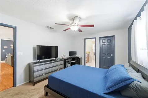 2816 Rustic Oaks Drive Palm Harbor FL 34684