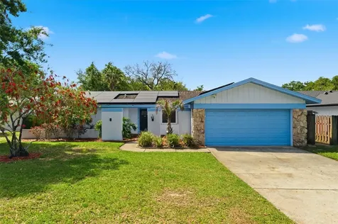 2816 Rustic Oaks Drive Palm Harbor FL 34684