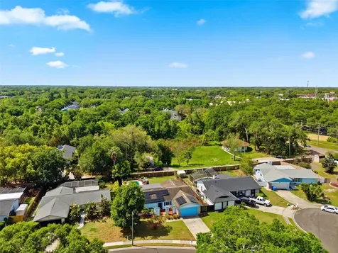 2816 Rustic Oaks Drive Palm Harbor FL 34684