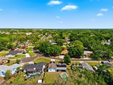 2816 Rustic Oaks Drive Palm Harbor FL 34684