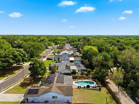 2816 Rustic Oaks Drive Palm Harbor FL 34684
