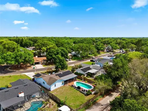 2816 Rustic Oaks Drive Palm Harbor FL 34684