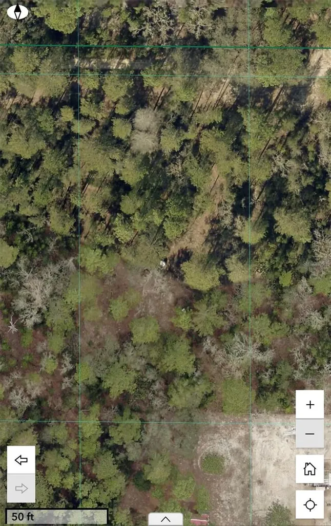 SW 156th Place Dunnellon FL 34432