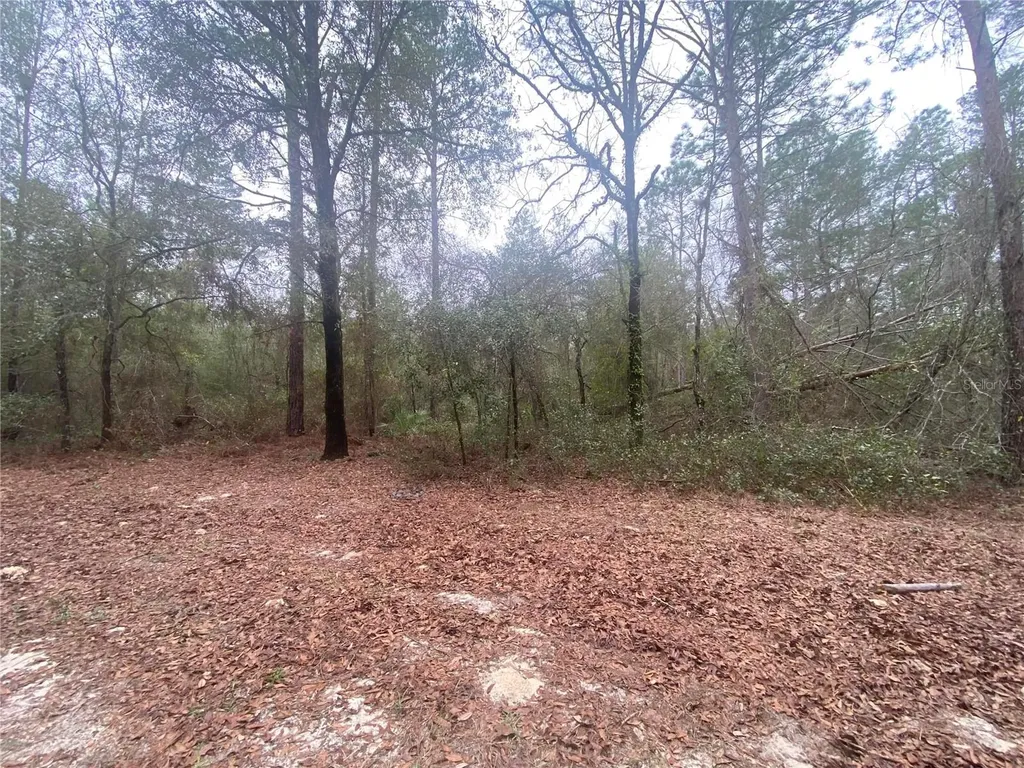 SW 156th Place Dunnellon FL 34432