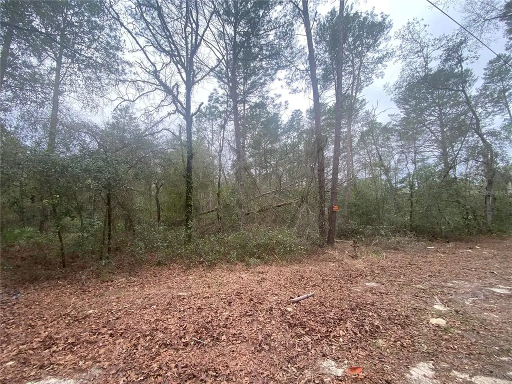 SW 156th Place Dunnellon FL 34432