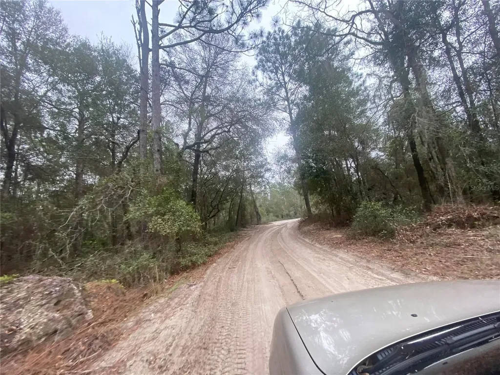 SW 156th Place Dunnellon FL 34432