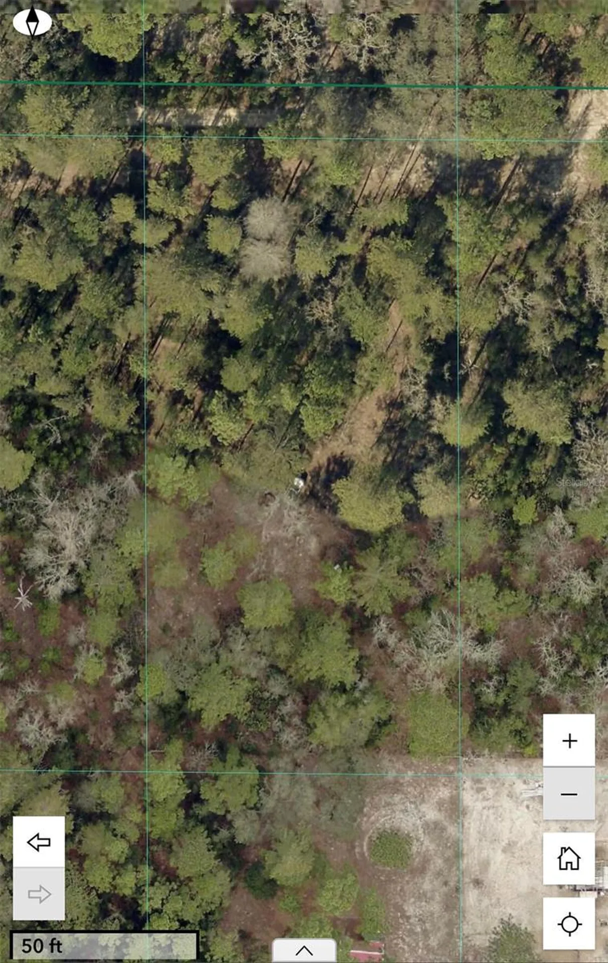 SW 156th Place Dunnellon FL 34432