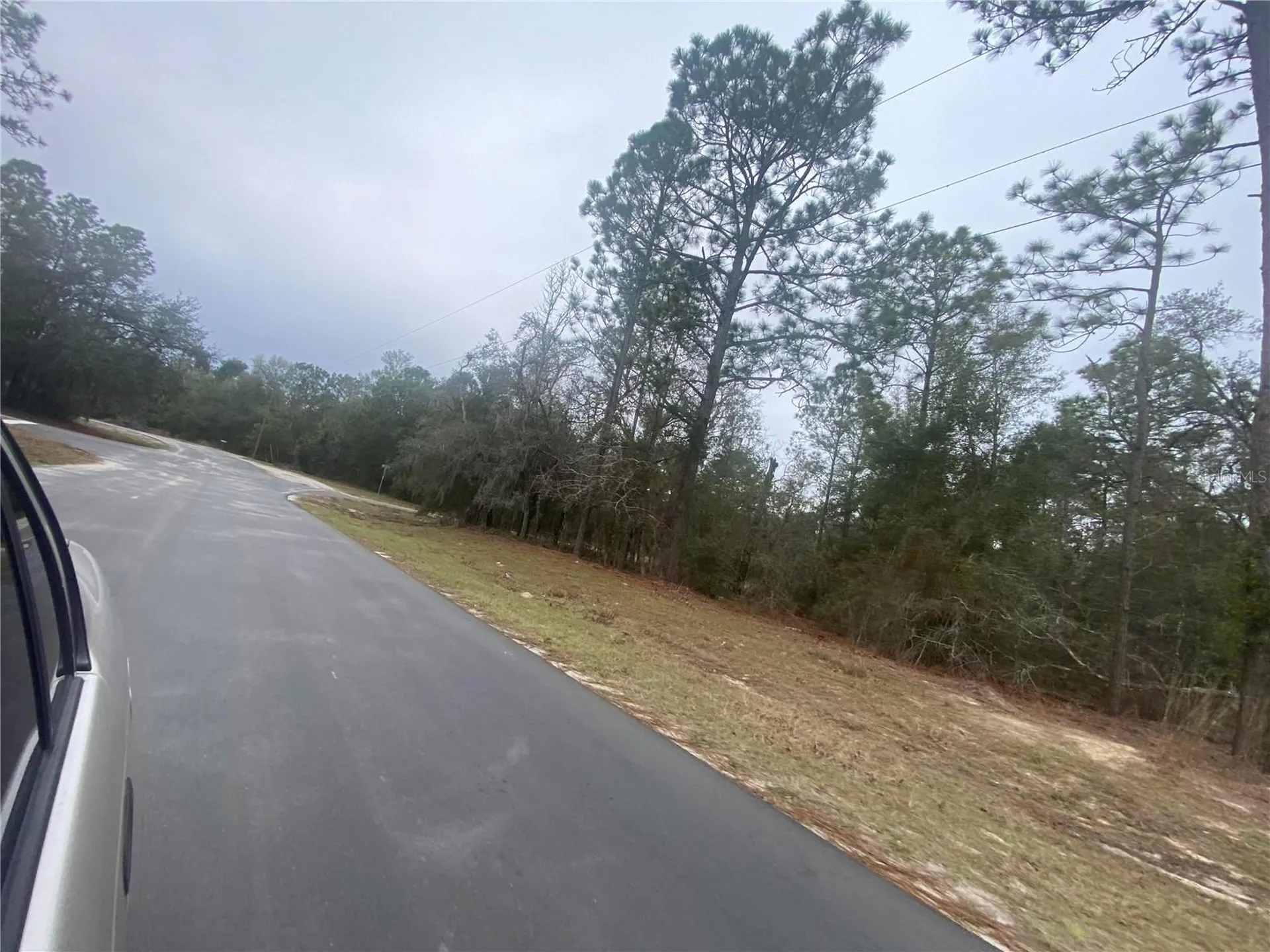 SW 156th Place Dunnellon FL 34432