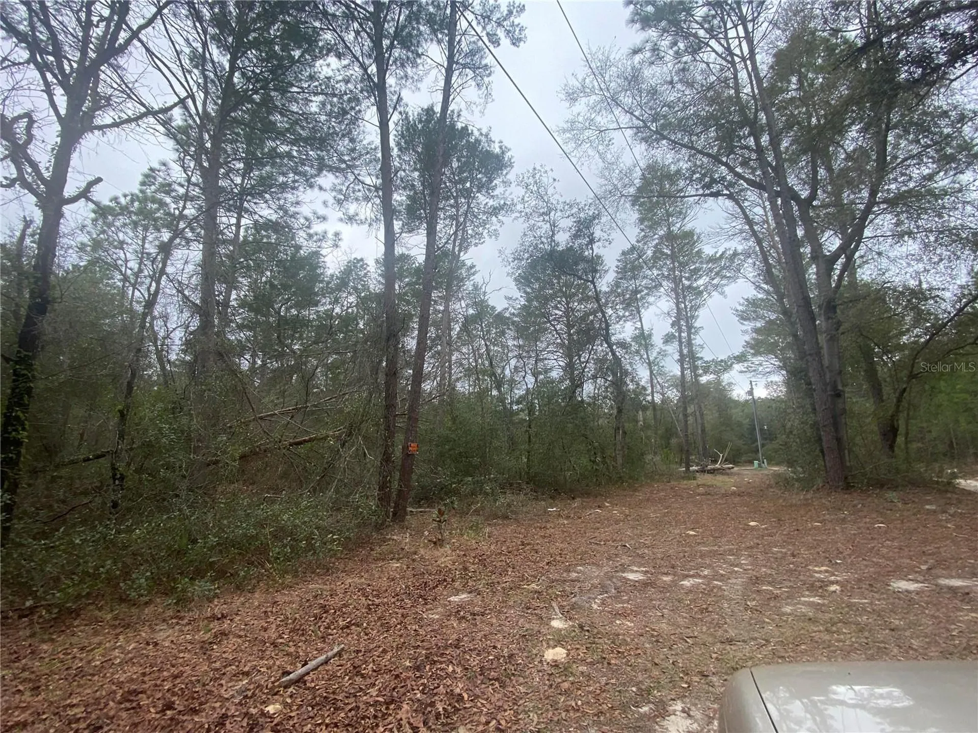 SW 156th Place Dunnellon FL 34432