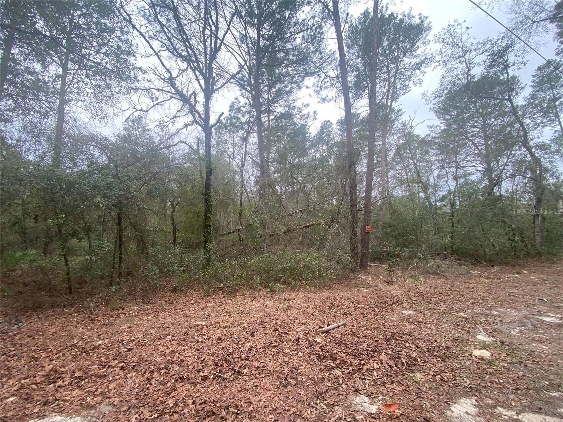 SW 156th Place Dunnellon FL 34432